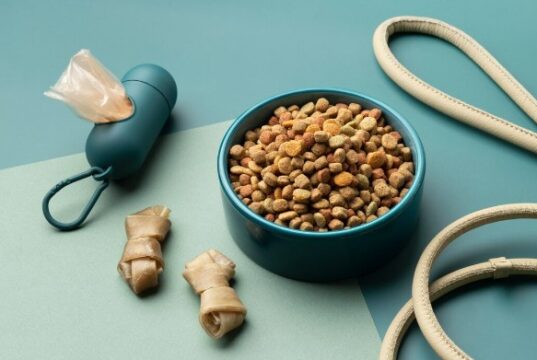 Корм для собак: как выбрать качественное питание и избежать ошибок