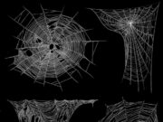 Значение татуировки паутина на руке