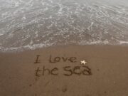 Закат на море: Короткие цитаты