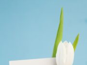 Пожелания мягкого взлета и посадки