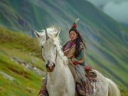 Уход за татаро-мишарским конем