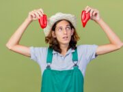 Сон: Сажаем помидоры в землю