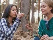 Как проверить жив ли родственник